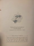 1952 HARDCOVER A CHILD'S BOOK OF INSECTS